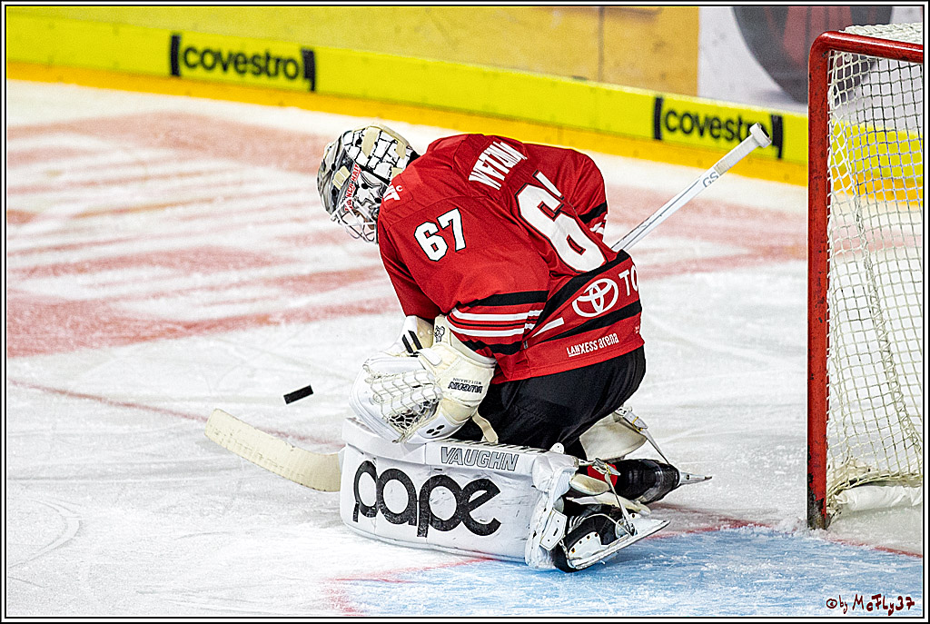 DEL; Koelner Haie - Schwenninger Wild Wings;; Koeln, 18.10.2019